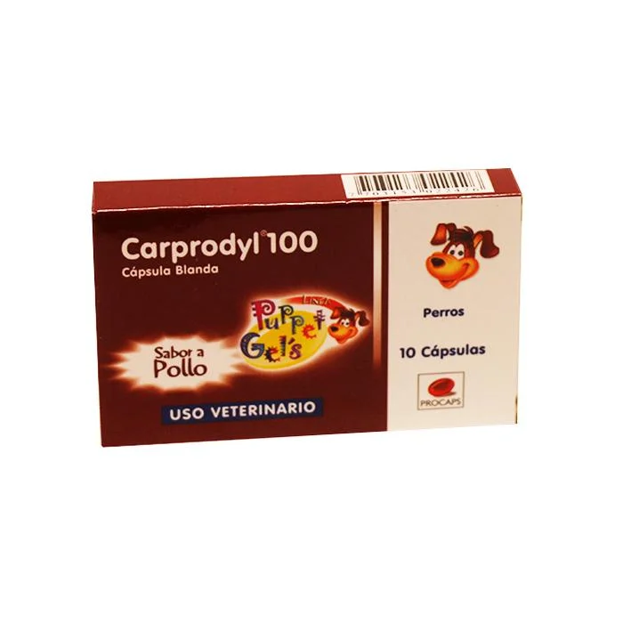 - Dog anti-slip matCarporgel 100Mg
