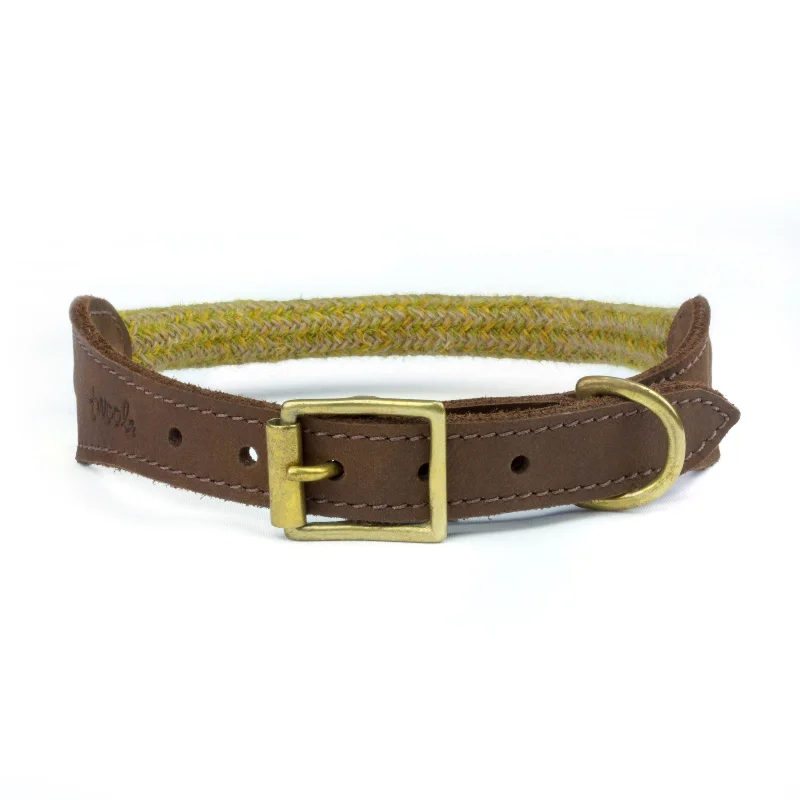 - Custom pet birthday cakeMustard Tweed 100% British Wool Dog Collar