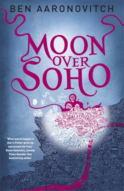 - Pregnant cat delivery room warming boxMoon Over Soho