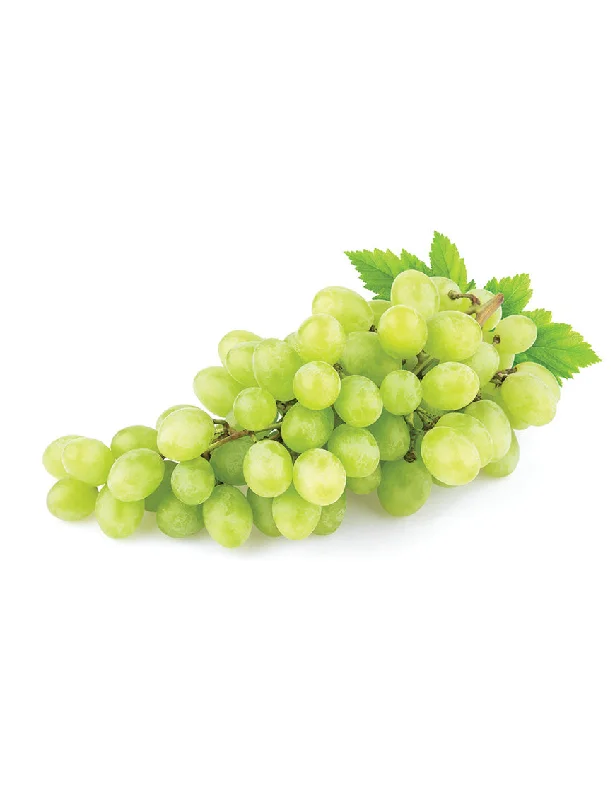 - Dog disposable foam shower gelGREEN Grapes