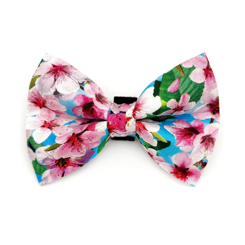 - Pet smart GPS locatorCherry Blossom Blue Dog Bow Tie
