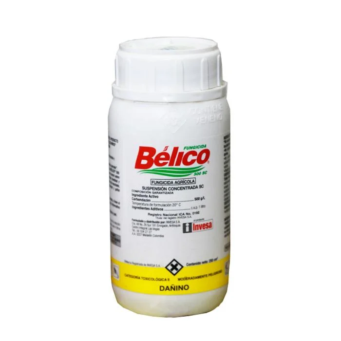 ---Bélico Sc x 250 Cm