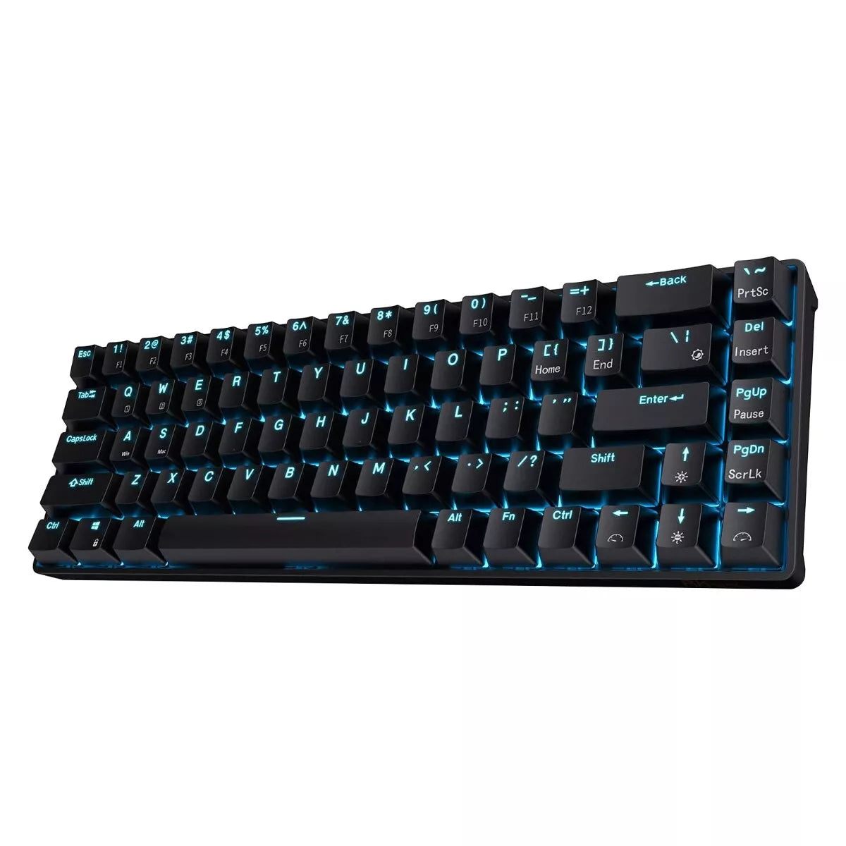 - Pet smart GPS locatorRoyal Kludge RK68 Tri-Mode RGB Hot Swap Mechanical Keyboard (Black with Blue Switch)