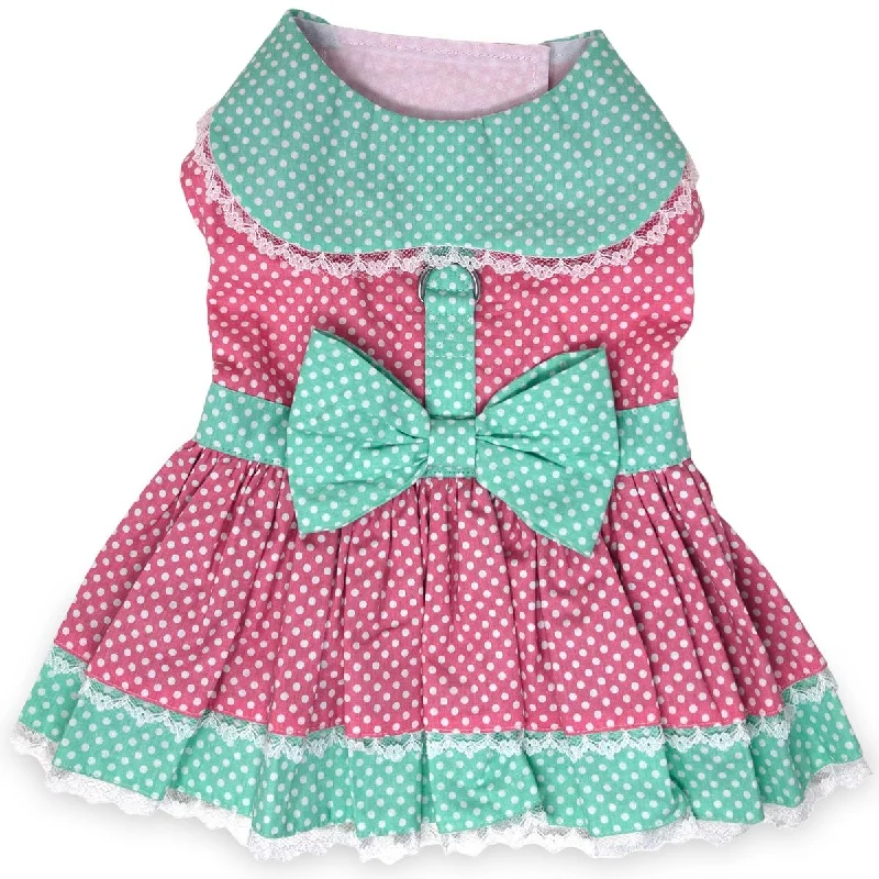 Pet raincoatPolka Dot and Lace Dog Dress Set with Leash - Pink and Teal