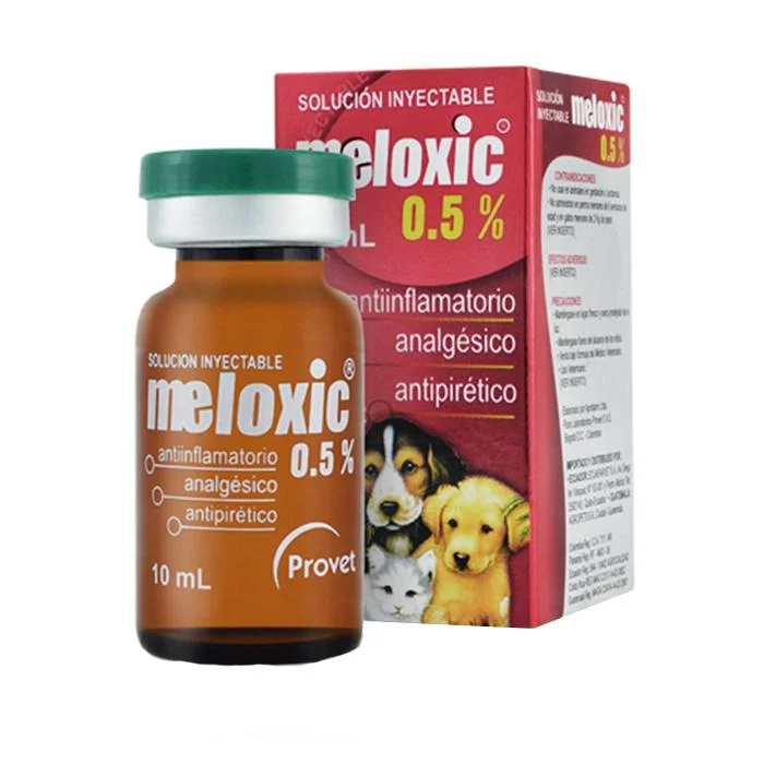 - Pregnant cat delivery room warming boxMeloxic 0 5% Inyectable x 10 Ml