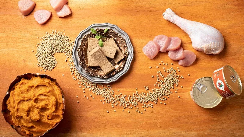    - Cat food for immune system support  Fromm Four-Star Turkey Pumpkin Cat Pate 5oz