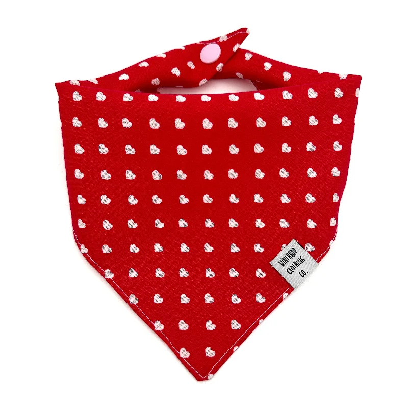 - Teething and chewing toys for puppiesValentine's Day Hearts Dog Bandana