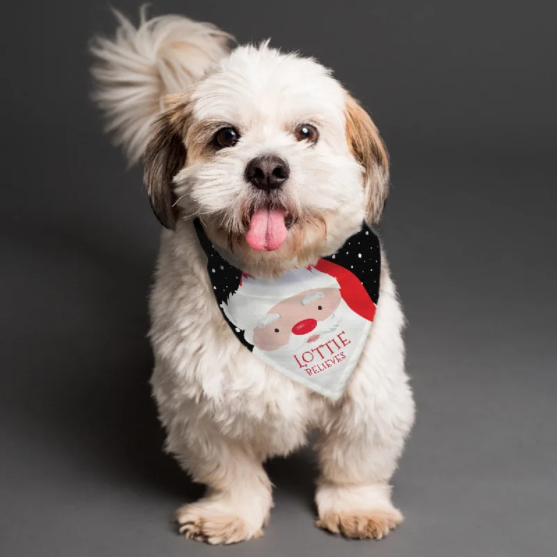 - Parrot climbing and standing wooden framePersonalised Santa Dog Bandana