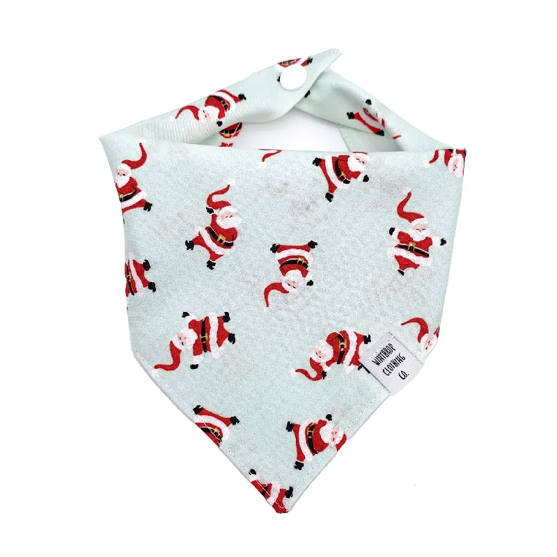 - Remote interactive pet feederDancing Santa Dog Bandana