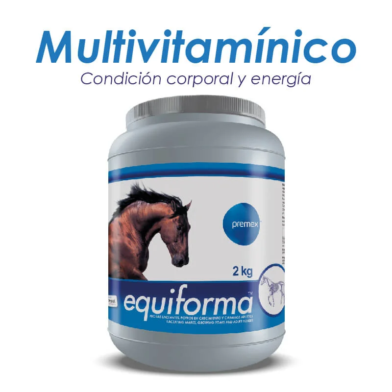 - ​​Christmas pet Christmas clothingEquiforma x 2 Kg