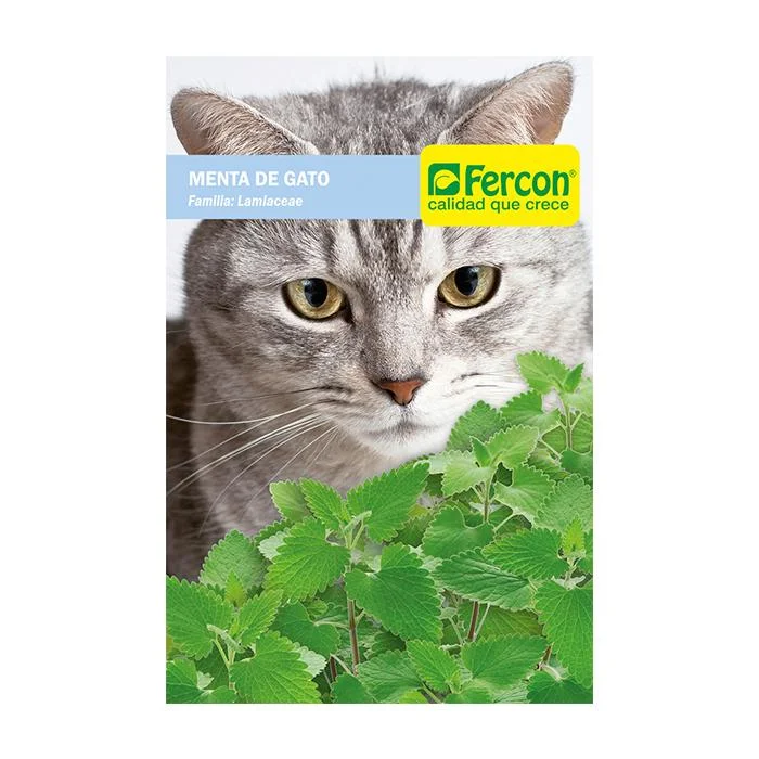  -Anti-slip claw protection raincoat FOR dogsSemilla De Menta De Gato x 0.3 Gr