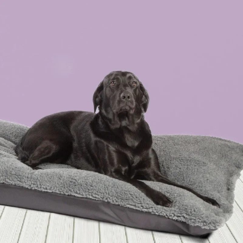 Pet ProductsHappy Landings Black/Grey Reversible Waterproof Deep Duvet Dog Bed by Danish Design Pet ProductsHappy Landings Black/Grey Reversible Waterproof Deep Duvet Dog Bed by Danish Design
