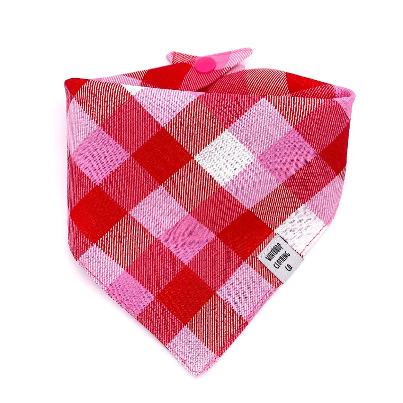 ---Valentine's Day Check Dog Bandana
