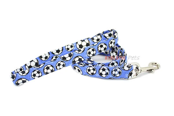  . **Dog paw cream is winter**Blue Soccer Ball Dog Leash