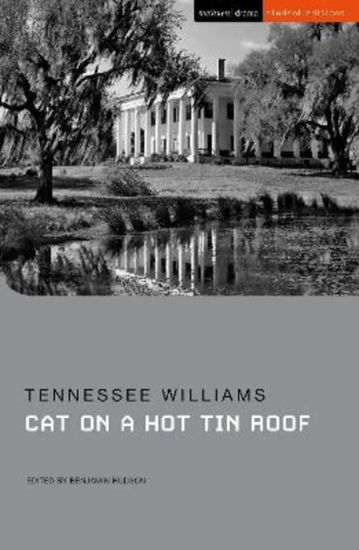 - Pet monitor with cameraCat on a Hot Tin Roof