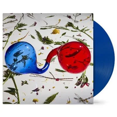 - Custom pet birthday cakeLamp Lit Prose (Ltd Deluxe Blue Side / Red Side Colour Vinyl)