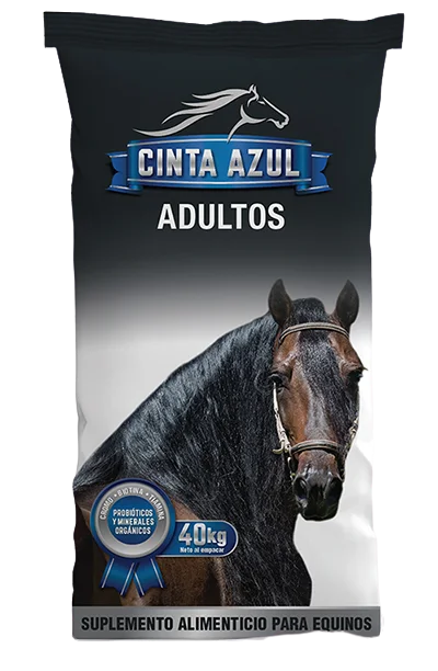 - Custom pet birthday cakeCinta Azul Adulto x 40 Kg