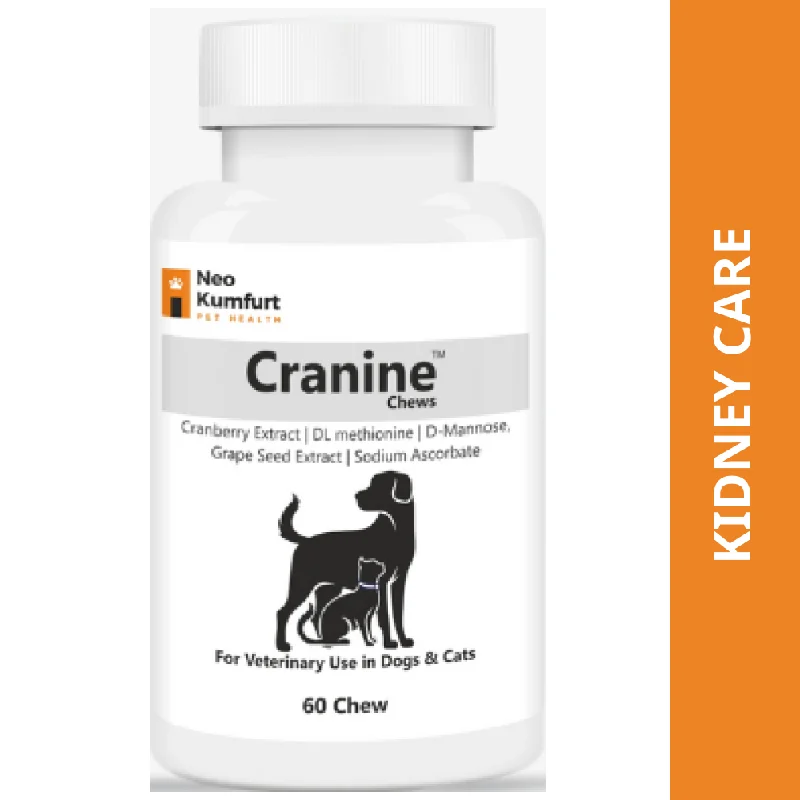 - Christmas pet Christmas clothingNeo Kumfurt Cranine Chews Tablets for Dogs and Cats (30 tablets) - Christmas pet Christmas clothingNeo Kumfurt Cranine Chews Tablets for Dogs and Cats (30 tablets)
