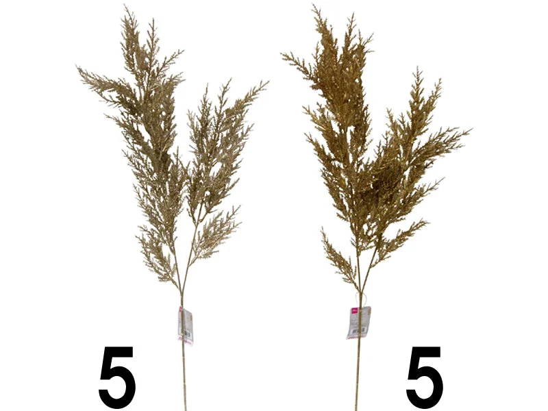 ---Golden Conifer