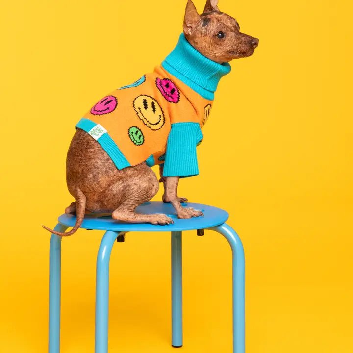 Large dog clothesHow're You Feeling Sweater with Matching Human Sweater Vest