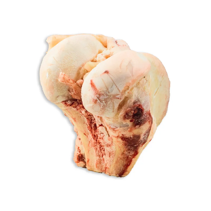 - Chinchilla cooling ice nest ceramic plateFrozen Dog Chews - Buffalo Knuckle Bones - 1 pc