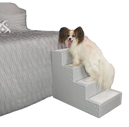 Pet holiday dress-up clothesPet Step IV- Essential Grey
