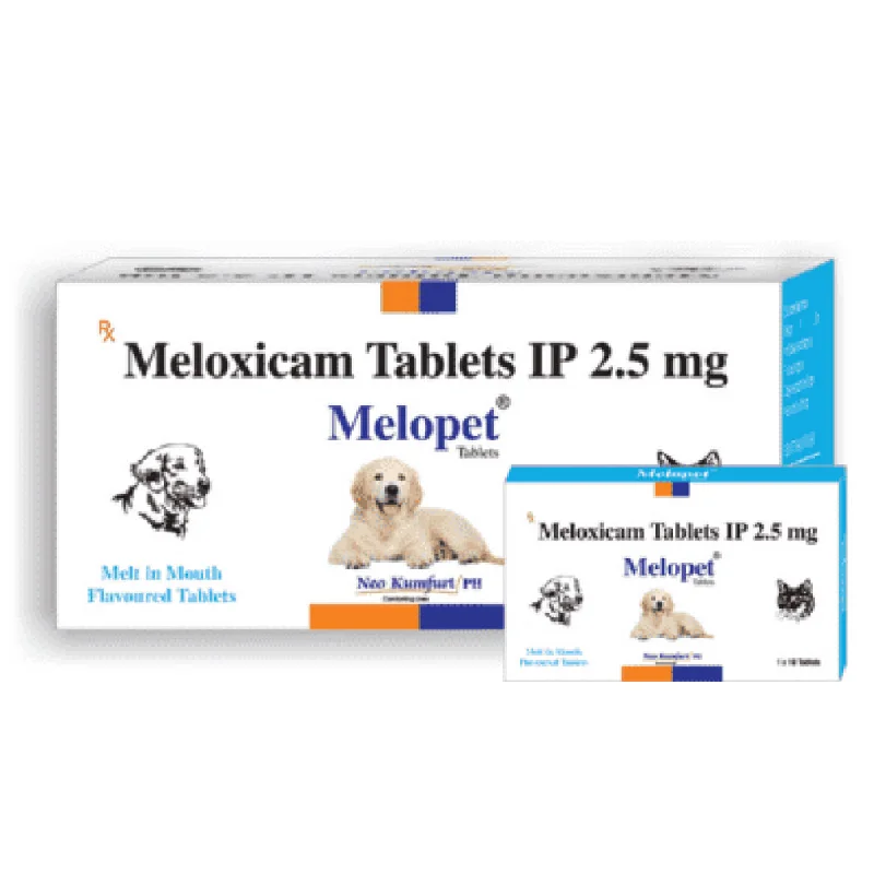  -Non-contact cat thermometerNeo Kumfurt Melopet (Meloxicam) Tablet for Dogs & Cats (pack of 10 tablets)