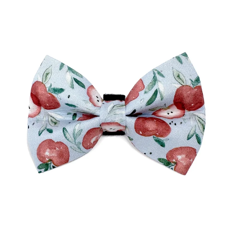 - Dog heart rate monitoring collarApple Dog Bow Tie