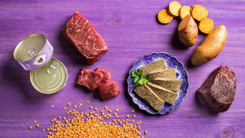    - High-protein cat food  Fromm Four-Star Beef & Venison Pate Cat 5oz