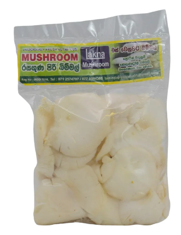 - Cat anti-jump window safety netLAKNA American Oyster Mushroom, 200g