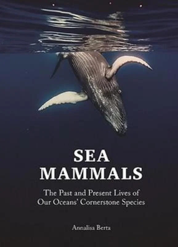 - Climbing pet constant temperature heating padSea Mammals