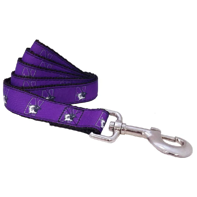  . **Cat toy cat teaser**Northwestern Wildcats Premium Dog Leash