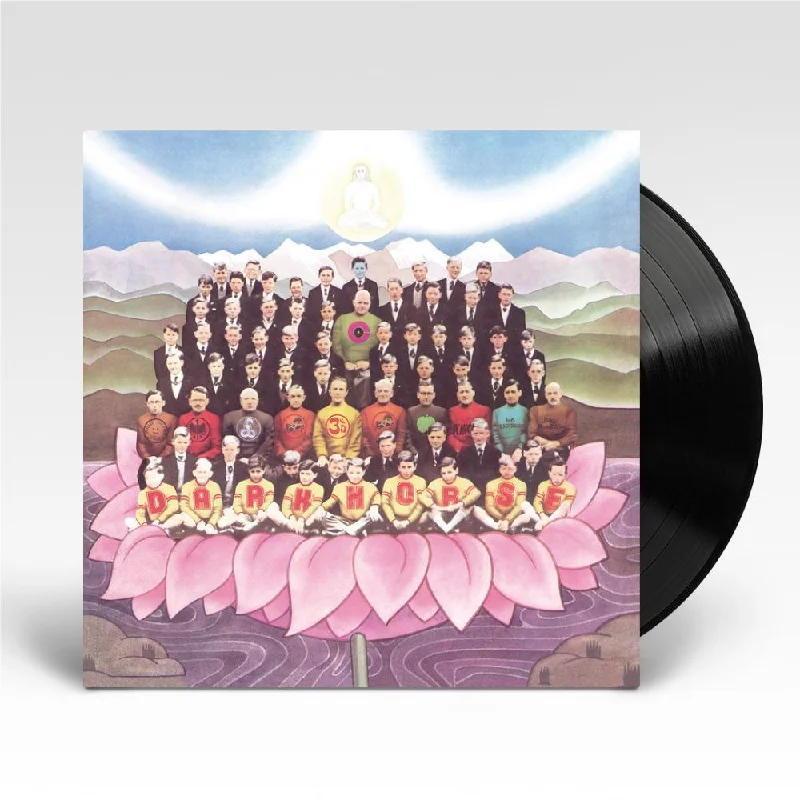 - Pregnant cat delivery room warming boxDark Horse (Vinyl) (2023 Reissue)