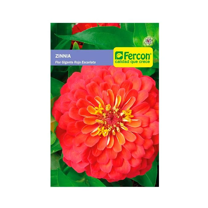 - Solid wood cat climbing frame customizedSemilla De Zinnia Flor Gigante Rojo Escarlata x 0.5 Gr