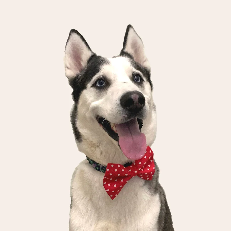  -Explosion-proof leash FOR LARGE dogsValentine's Day Hearts Dog Bow Tie