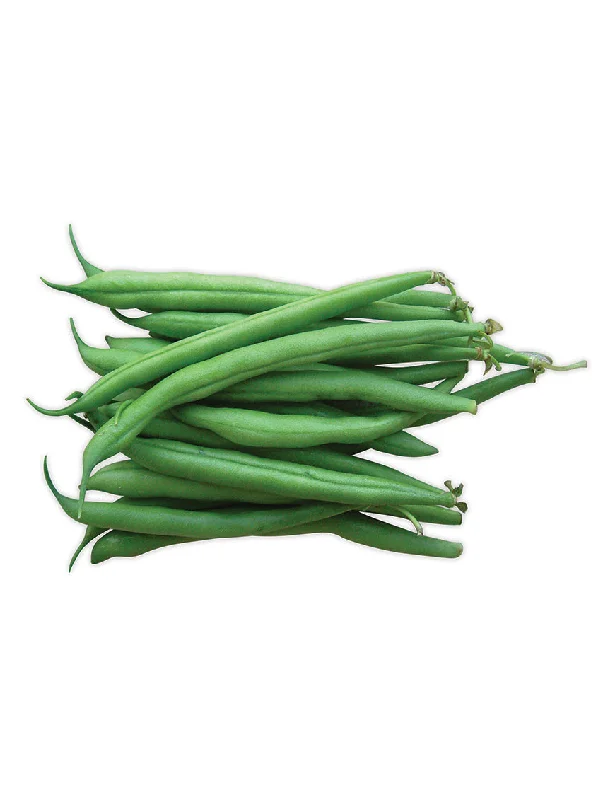 - Solid wood cat climbing frame customizedGREEN Beans
