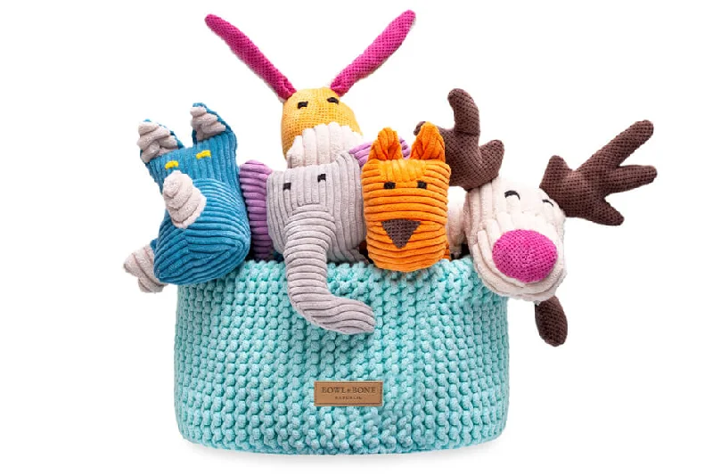 - Pet diabetes prescription foodBowl and Bone Aqua Mint Double Cotton Dog Toy Storage Basket - Pet diabetes prescription foodBowl and Bone Aqua Mint Double Cotton Dog Toy Storage Basket