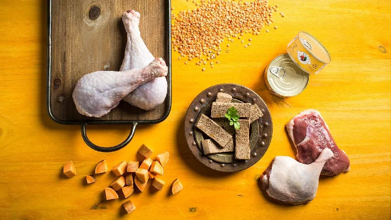  . **Special Needs**  Fromm Four-Star Turkey & Duck Pate Cat 5oz