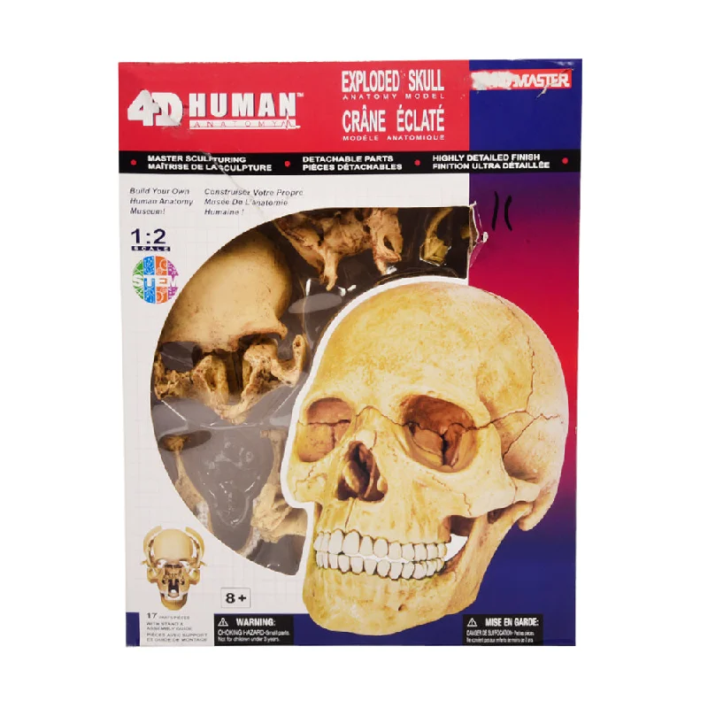 - Durable nylon dog leash wholesale626111 4D HUMAN SKULL ANATOMY D