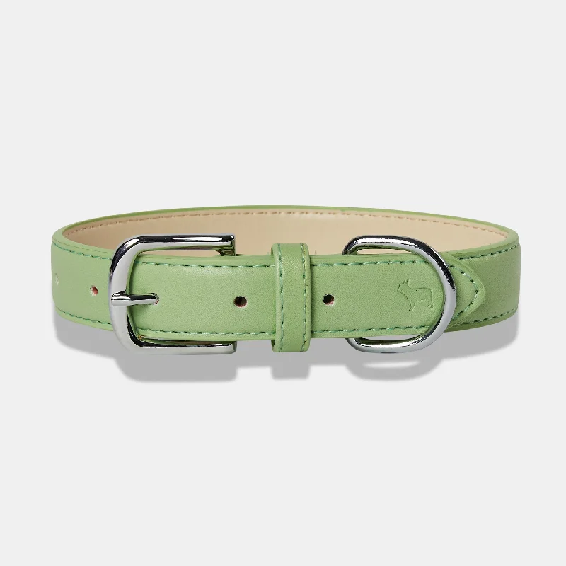 - Degradable pet feces bagLush Green Dog Collar