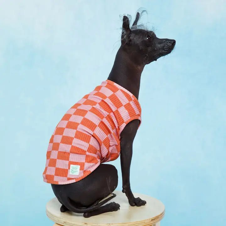Classification by function or use:Marmalade Pet Tank with Matching Human Dress