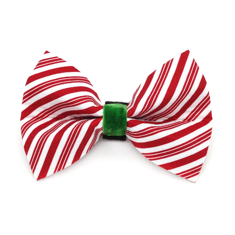 - Pet smart GPS locatorPeppermint Dog Bow Tie